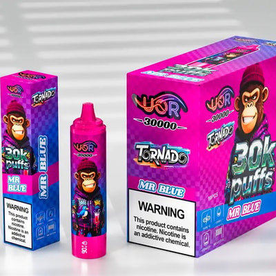 UOR Tornado 30K Puffs Disposable Vape with Screen 30000 Puffs Rechargeable LED Display for Battery & E-Liquid Mr blue